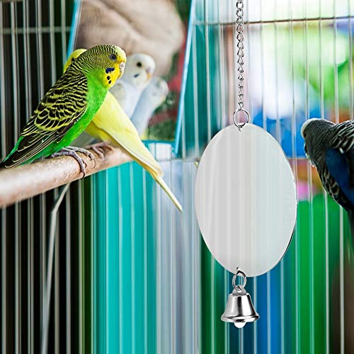 Qinlorgon Edelstahlspiegel, Edelstahl-Hängekäfig beißen Spielzeug Vogel Vogelspiegel, Vogelkäfig Spielzeug Vogel für Vogelspiegel(Hanging Chain (186G)) von Qinlorgon