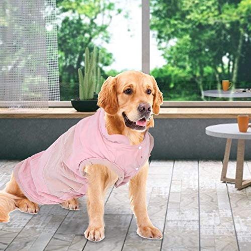 Qinlorgon Hund Warmer Baumwollmantel Haustiermantel, schöner bequemer Mantel Hund Baumwollkleidung, für Haustierhund(M) von Qinlorgo