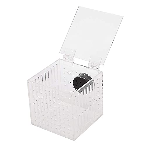 Qinlorgon Wasserloch-Design Magnetische Fischisolationsbox, starker, haltbarer Fischinkubator-Käfig, Fischbrutstätte für Babys von Qinlorgo