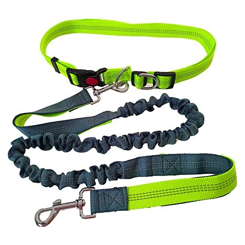 QitinDasen Freihändige Hundeleine, Grün Verstellbarer Hüftgurt und Grau Dehnbare Bungee-Leine, Jogging Hundeleine mit Reflektierenden Nähten QitinDasen Freihändige Hundeleine, Grün Verstellbarer Hüftgurt und Grau Dehnbare Bungee-Leine, Jogging Hundeleine mit Reflektierenden Nähten von QitinDasen