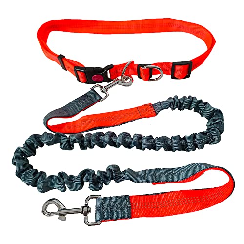 QitinDasen Freihändige Hundeleine, Orange Verstellbarer Hüftgurt und Grau Dehnbare Bungee-Leine, Jogging Hundeleine mit Reflektierenden Nähten QitinDasen Freihändige Hundeleine, Orange Verstellbarer Hüftgurt und Grau Dehnbare Bungee-Leine, Jogging Hundeleine mit Reflektierenden Nähten von QitinDasen