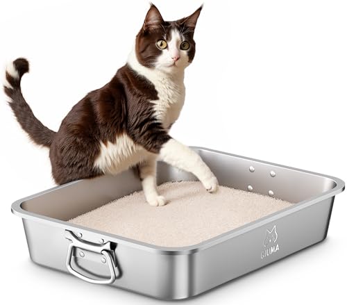 Qiuma Katzentoilette aus Edelstahl mit Griff, Katzentoilette aus Metall mit hoher Seite, antihaftbeschichtet, leicht zu reinigen, geruchsfrei, inklusive Schaufel, kleine Katzentoilette, Katzenboxen Qiuma Katzentoilette aus Edelstahl mit Griff, Katzentoilette aus Metall mit hoher Seite, antihaftbeschichtet, leicht zu reinigen, geruchsfrei, inklusive Schaufel, kleine Katzentoilette, Katzenboxen von Qiuma