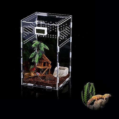 Insekten-Terrarium 2-Teiliges Set, Reptil Fütterungsbox, Acryl-Transparent-Transportbox, Tragbarer Lebensraum für Insekten Käfer Schnecken Spinnen Skorpione (Klein + Mittel) von Qivine