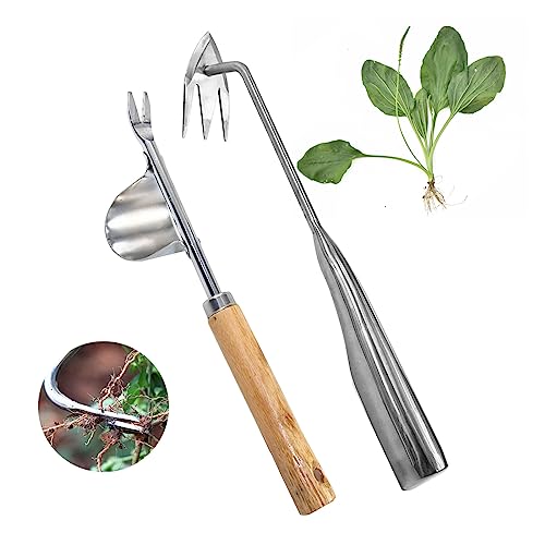 Qivine Fugenkratzer Unkraut Entferner Gerät, Gartenwerkzeug Unkrautstecher Garten Zubehör Edelstahl mit Stiel, 2 Stück Manueller Spargelstecher Unkrautjäter von Qivine