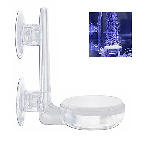 Aquarium Luftstein Ausströmer Aquarium Fisch Tank Bubble Luft Stein Blase,mit Steuerventil Leise Super-High Diffusor für gelösten Sauerstoff Lässt Super Tiny Bubbles für Aquarium und Hydroponic(35MM) von Qiwenr