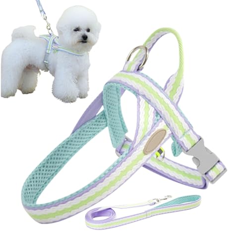 Qiwieod Haustierwestengeschirr, Haustiergeschirr mit Griff - Verstellbares Hundegeschirr-Gurtset,Verstellbares Hundeauslaufgerät mit Knopfdesign für Camping, Picknick, täglichen Spaziergang, Qiwieod Haustierwestengeschirr, Haustiergeschirr mit Griff - Verstellbares Hundegeschirr-Gurtset,Verstellbares Hundeauslaufgerät mit Knopfdesign für Camping, Picknick, täglichen Spaziergang, von Qiwieod