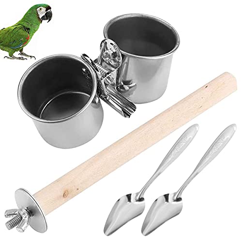 Qixuer 2 Stück Edelstahl Papageien Fütterungsbecher,Vogel Fütterung Näpfe Tier Käfig Wasser Futterschale Vogelnapf Futter Schüssel mit 2 Pcs Papagei Fütterung Löffel für Kleintiere Vögel Hamster von Qixuer