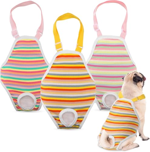 Qiyuting 3er-Pack physiologische Hundewindel-Overall, Sanitärhose, wiederverwendbare Hündinnenwindel Qiyuting 3er-Pack physiologische Hundewindel-Overall, Sanitärhose, wiederverwendbare Hündinnenwindel von Qiyuting