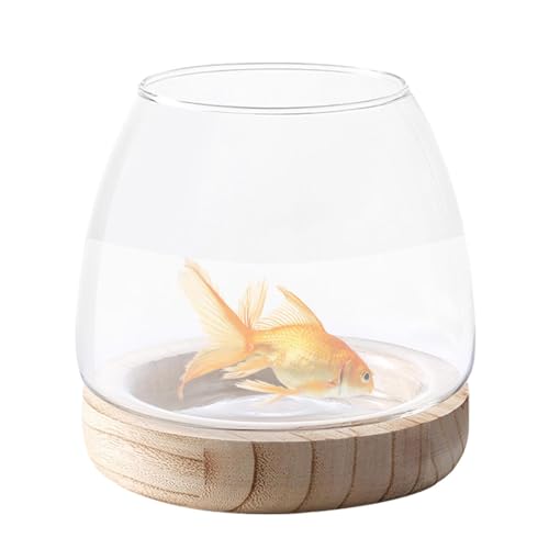 Glashydroponik Pflanzen Terrarium, Glasflaschenhydroponik Terrarium Behälter Mit Holzstütze, Transparente Glasfischtankvase Zur Propagierung Von Hydroponikpflanzen von Qizeroty