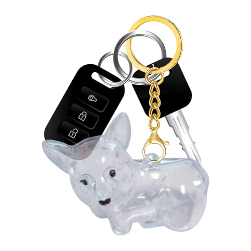 Qizeroty Hundehair Andenken | Hundehair Schlüsselband Andenken | Emotionaler Charm Anhänger Halter Transparente Aufbewahrung Für Erinnerung Männer Frauen Auto Handtasche von Qizeroty