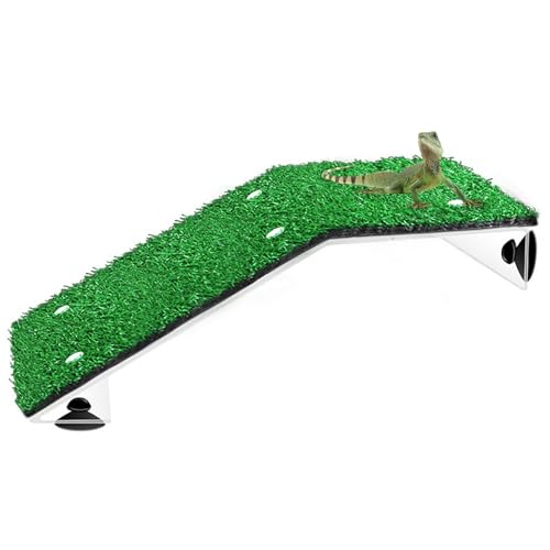 Schildkröten Aalplattform, Schildkrötenrampe Kletterleiter Ruheterrasse, Künstliche Rasenlandschaft Acryl Schildkröten Sonnenterrasse Für Reptilienfrosch Schildkröten Schildkröten Aalplattform, Schildkrötenrampe Kletterleiter Ruheterrasse, Künstliche Rasenlandschaft Acryl Schildkröten Sonnenterrasse Für Reptilienfrosch Schildkröten von Qizeroty