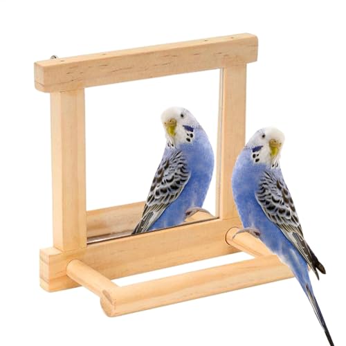 Qkbuza Vogel-Spiegelstange, Vogelspiegelstangen für den Käfig, zum Klettern | Fork zum Stehen von aus, Anreicherungszweig für Parakeet Käfig von Qkbuza