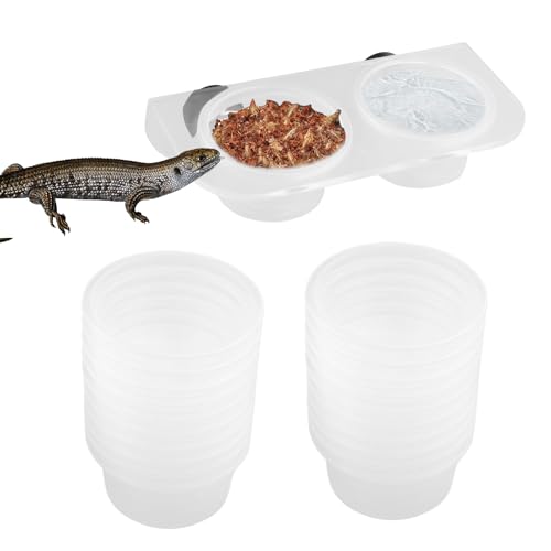 Qkbuza Wasserspender für Reptilien – Futterbox für Reptilien – leicht zu reinigender Behälter für Schlange Wasserschildkröte Terrarium Dekoration von Qkbuza