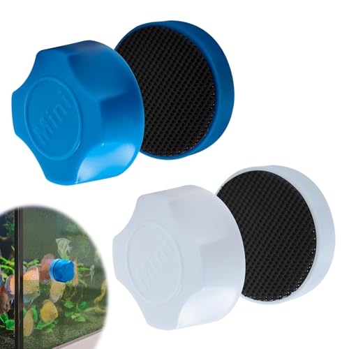 Magnetische Glasreinigungsbürste für Aquarien, Mini-Reinigungsbürste, entfernt keine Kratzer, Magnetalgenschaber für kleine Aquarien, kompakte Reinigung, Aquarium-Zubehör, 2 Stück Magnetische Glasreinigungsbürste für Aquarien, Mini-Reinigungsbürste, entfernt keine Kratzer, Magnetalgenschaber für kleine Aquarien, kompakte Reinigung, Aquarium-Zubehör, 2 Stück von Qkhcable
