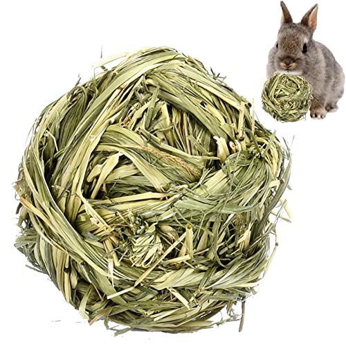 Qmisify Kauspielzeug für Kaninchen, Aktivität für kleine Tiere, zum Kauen von Leckereien für Kaninchen, Indische Kaninchen, Chinchillas, Kaninchen, Zähneknirschen Qmisify Kauspielzeug für Kaninchen, Aktivität für kleine Tiere, zum Kauen von Leckereien für Kaninchen, Indische Kaninchen, Chinchillas, Kaninchen, Zähneknirschen von Qmisify