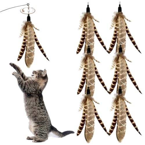 QmjdDymx Katzenstabinstände, 6pcs Katzenfedern Spielzeug, natürliche Vogelfedern Katze Zauberstab, interaktiv QmjdDymx Katzenstabinstände, 6pcs Katzenfedern Spielzeug, natürliche Vogelfedern Katze Zauberstab, interaktiv von QmjdDymx