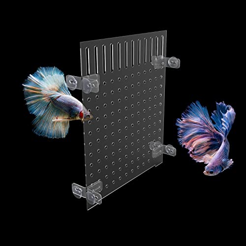 QoTang Aquarium Trennwand,Fisch Tank Teiler Acryl Aquarium Tank Trennung Fischseparator Fischseparator Aquarienabscheider Transparente Platte mit 8 Saugnäpfen (25x30cm) von QoTang