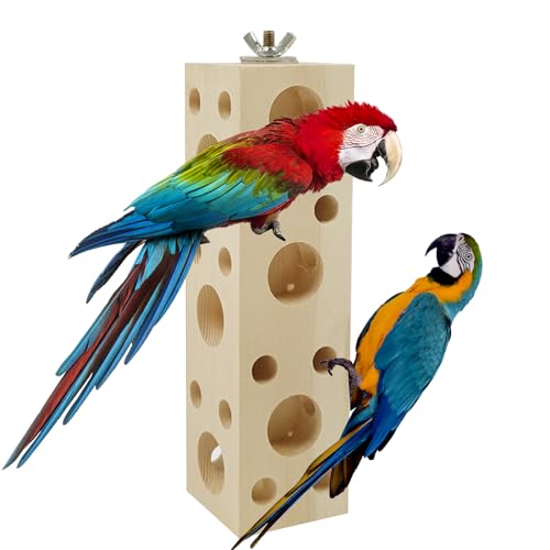 QoTang Papageienspielzeug,Kauspielzeug für Vögel Baumloch aus Holz Futtersuche Trainings Spielzeug Vogel,für Sittiche Liebesvögel Finken und andere kleine Haustiere,20x5,4x5,4 cm von QoTang
