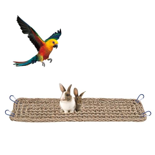 Vogel Seegrasmatte,Vogel Hängematte mit Haken Natürliches Seegras-Gewebenetz Reptil Hängematte Netzmatte für Nymphensittich Hamster Meerschweinchen Ratten,52 x 20 cm von QoTang
