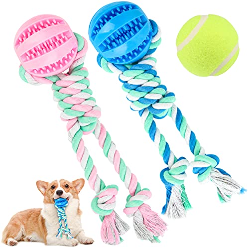 Qonline 2 Stück Ball auf Seil, Hundespielzeug, Leckerli-Spielzeug, Seilball-Spielzeug für Welpen, kleine und mittelgroße Hunde, Ball mit Seil, interaktives Hundespielzeug, Tauziehen, Tennisball von Qonline
