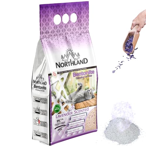 Katzenstreu Lavendel Duft 5L | 100% Natürlich & 99,9% Staubfrei | Extra Stark Klumpend & Geruchsbindend | Bentonit Klumpstreu für Katzentoilette Katzenstreu Lavendel Duft 5L | 100% Natürlich & 99,9% Staubfrei | Extra Stark Klumpend & Geruchsbindend | Bentonit Klumpstreu für Katzentoilette von Qooltex