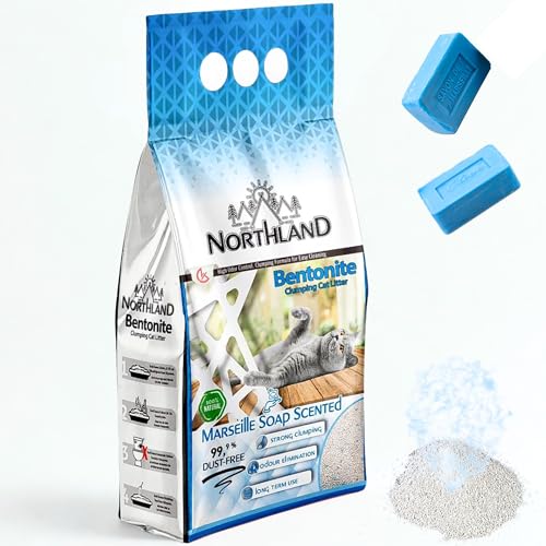 Katzenstreu Marseiller Seife Duft 10L | 100% Natürlich & 99,9% Staubfrei | Extra Stark Klumpend & Geruchsbindend | Bentonit Klumpstreu für Katzentoilette Katzenstreu Marseiller Seife Duft 10L | 100% Natürlich & 99,9% Staubfrei | Extra Stark Klumpend & Geruchsbindend | Bentonit Klumpstreu für Katzentoilette von Qooltex