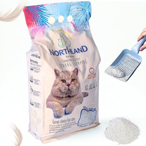 Katzenstreu Weiß 10L – Unbeduftet & 100% Natürlich | Staubfrei (99,5%) & Extra Stark Klumpend | Bentonit Klumpstreu für Katzen mit sensibler Nase von Qooltex