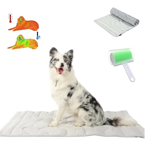 Pfotenchill - Die Innovative Kühlmatte Für Hunde, Kühlmatte Für Hunde Katze, Schützt Deinen Hund Vor Überhitzung, Eiskühler Stoff, Leicht Waschbar, Faltbar, Haustierunterlage Im Sommer (M/91*58cm) von Qosigote