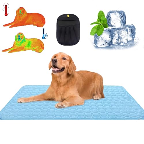 Qosigote 2025 Neues Upgrade Premium Kühlmatte Für Hunde, Hundekühlmatte Selbstkühlend, Sommer Kühlkissen Für Hunde Waschbar, Den Sommer, Unterwegs Oder Im Auto (Hellblau,Xs/40 * 30cm) von Qosigote