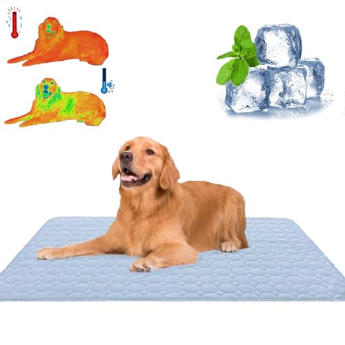 Qosigote Emmalove - Kühlmatte Für Den Sommer, Kuhlmatte Hund, Kühlmatte Für Hunde Katzen, Sommer Kühlkissen Für Hunde Waschbar, Den Sommer, Geeignet Bodensofa, Zwinger (Blau,Xs/40 * 30cm) von Qosigote