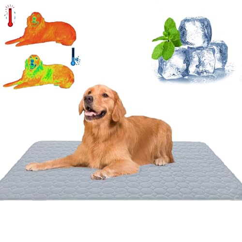 Qosigote Emmalove - Kühlmatte Für Den Sommer, Kuhlmatte Hund, Kühlmatte Für Hunde Katzen, Sommer Kühlkissen Für Hunde Waschbar, Den Sommer, Geeignet Bodensofa, Zwinger (Grau,S/50 * 40cm) von Qosigote