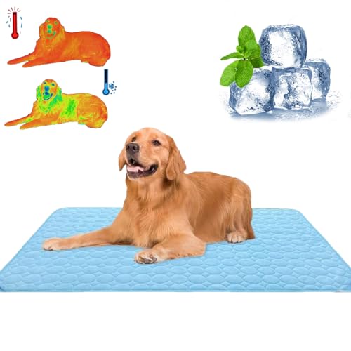 Qosigote Emmalove - Kühlmatte Für Den Sommer, Kuhlmatte Hund, Kühlmatte Für Hunde Katzen, Sommer Kühlkissen Für Hunde Waschbar, Den Sommer, Geeignet Bodensofa, Zwinger (Hellblau,Xl/100 * 70cm) von Qosigote