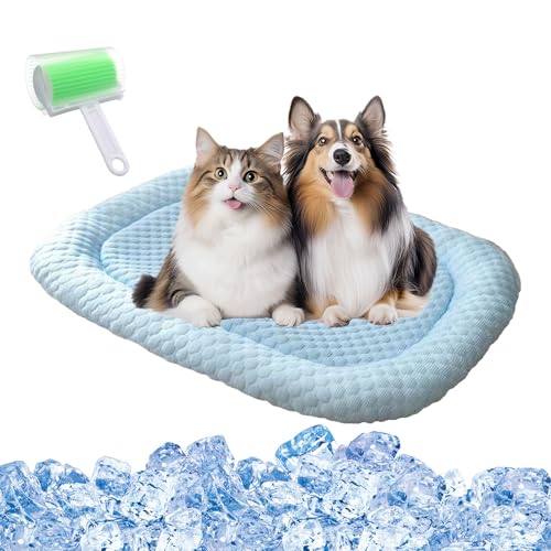 Qosigote KITTINIS - Kittycool - Kühlendes Katzenbett Mit Eisseide, Kühlendes Hundebett, Kühlbett for Hunde Aus Eisseide, Zwinger, Sofaböden, Autos, Außenbereich (Blau a,L 65 x 50 cm) von Qosigote