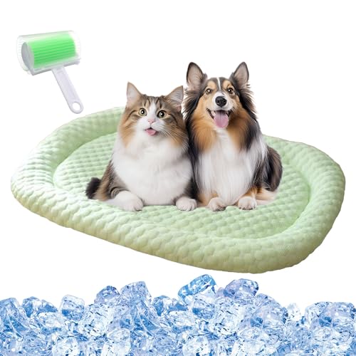 Qosigote KITTINIS - Kittycool - Kühlendes Katzenbett Mit Eisseide, Kühlendes Hundebett, Kühlbett for Hunde Aus Eisseide, Zwinger, Sofaböden, Autos, Außenbereich (Grün a,L 65 x 50 cm) von Qosigote