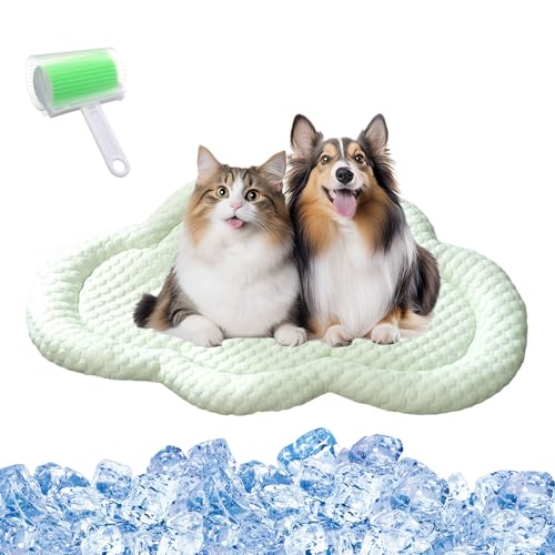 Qosigote KITTINIS - Kittycool - Kühlendes Katzenbett Mit Eisseide, Kühlendes Hundebett, Kühlbett for Hunde Aus Eisseide, Zwinger, Sofaböden, Autos, Außenbereich (Grün b,M 55 x 40 cm) von Qosigote