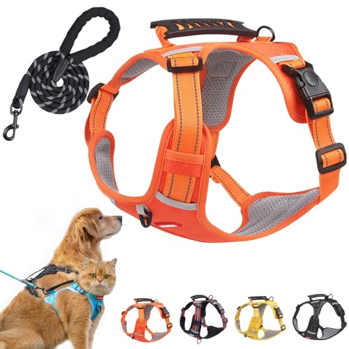 Qosigote Kein Zughundegeschirr für Haustiere, No Pull Hundegeschirr, Reflektierendes Gepolstertes Westengeschirr, Verstellbar Atmungsaktiv Brustgeschirr (Orange) von Qosigote