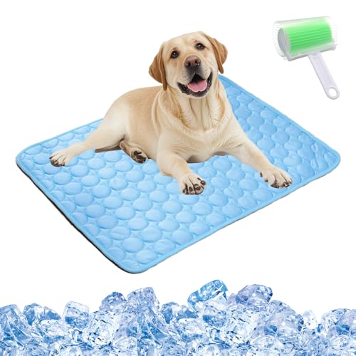 Qosigote Kittinis - Coolcat V.4 - Premium Kühlmatte Mit Eisseide, Kühlmatte Hund, Der Ultimative Kühlkomfort Für Deine Katze Und Hund (Blau,L/70 * 55cm) von Qosigote