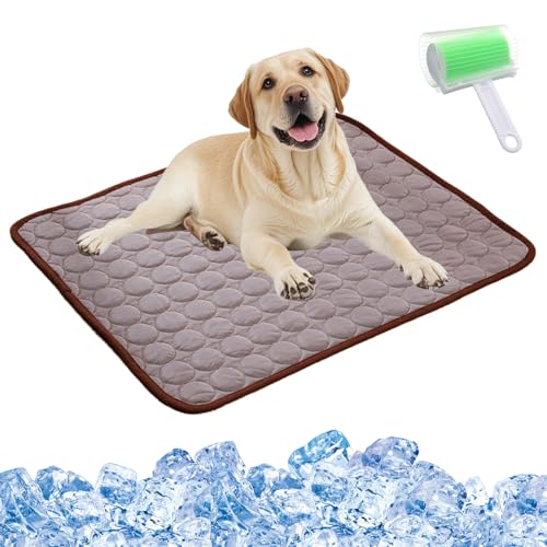 Qosigote Kittinis - Coolcat V.4 - Premium Kühlmatte Mit Eisseide, Kühlmatte Hund, Der Ultimative Kühlkomfort Für Deine Katze Und Hund (Braun,Xs/40 * 30cm) von Qosigote