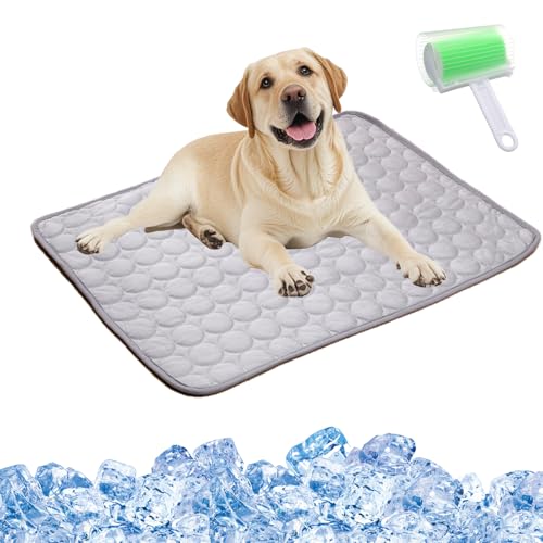 Qosigote Kittinis - Coolcat V.4 - Premium Kühlmatte Mit Eisseide, Kühlmatte Hund, Der Ultimative Kühlkomfort Für Deine Katze Und Hund (Grau,L/70 * 55cm) von Qosigote