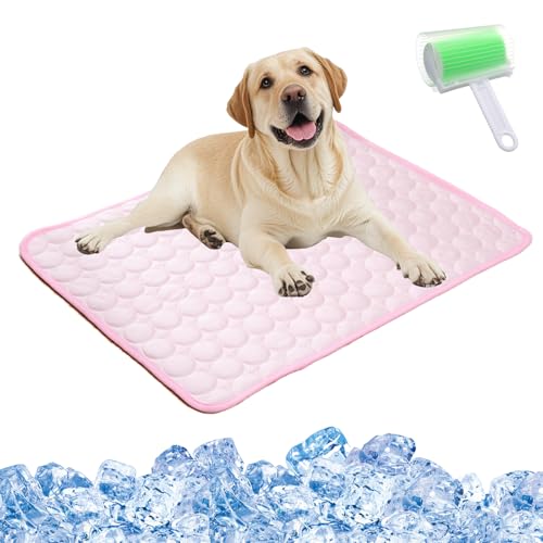 Qosigote Kittinis - Coolcat V.4 - Premium Kühlmatte Mit Eisseide, Kühlmatte Hund, Der Ultimative Kühlkomfort Für Deine Katze Und Hund (Pink,M/60 * 50cm) von Qosigote