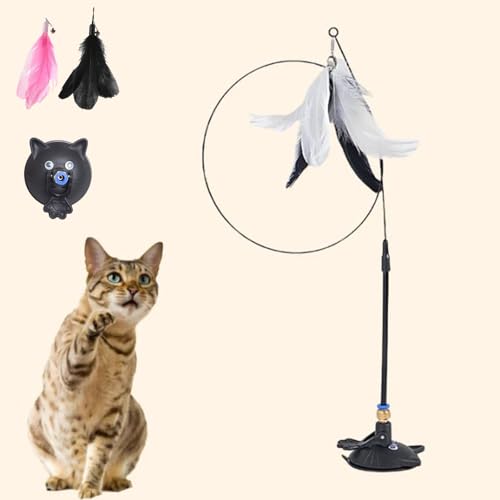 Qosigote Meowmastery Toy, Interaktives Katzenspielzeug, Meow Mastery Teaser Wand Mit 3stk Federn, Intelligenz Katzen Spielzeug, Interaktives Katzenspielzeug Feder (Schwarz) von Qosigote