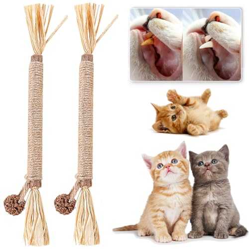 Qosigote Natural Silvervine Stick for Cats, Catnip Chew Sticks – Nunapets Cat Chew Toy – Durable and Interactive Cat Toy (A,2 Pcs) von Qosigote