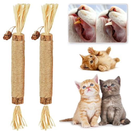 Qosigote Natural Silvervine Stick for Cats, Catnip Chew Sticks – Nunapets Cat Chew Toy – Durable and Interactive Cat Toy (B,2 Pcs) von Qosigote