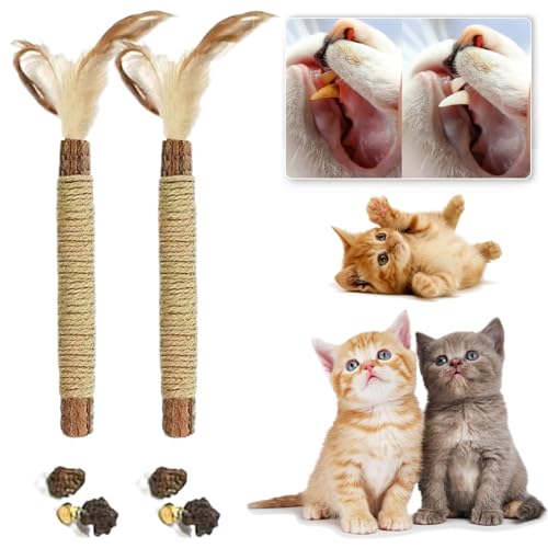 Qosigote Natural Silvervine Stick for Cats, Catnip Chew Sticks – Nunapets Cat Chew Toy – Durable and Interactive Cat Toy (C,2 Pcs) von Qosigote