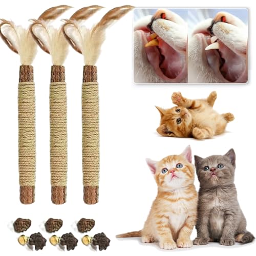 Qosigote Natural Silvervine Stick for Cats, Catnip Chew Sticks – Nunapets Cat Chew Toy – Durable and Interactive Cat Toy (C,3 Pcs) von Qosigote