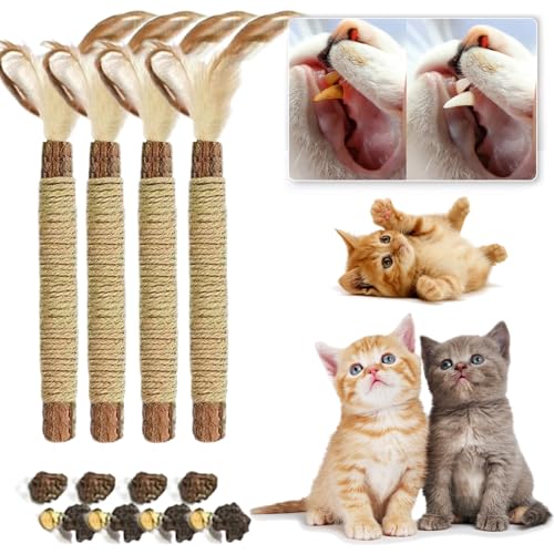 Qosigote Natural Silvervine Stick for Cats, Catnip Chew Sticks – Nunapets Cat Chew Toy – Durable and Interactive Cat Toy (C,4 Pcs) von Qosigote