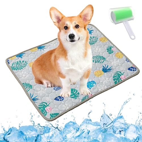 Qosigote Pfotenfrost Matte, Pfotenfrost Kühlmatte, Kühlmatte Hund, Selbstkühlende Hundematte, Waschbar Hund Matte Für Drinnen, Draußen Und Auto (A, M 60 * 50cm) von Qosigote