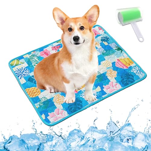 Qosigote Pfotenfrost Matte, Pfotenfrost Kühlmatte, Kühlmatte Hund, Selbstkühlende Hundematte, Waschbar Hund Matte Für Drinnen, Draußen Und Auto (B, M 60 * 50cm) von Qosigote