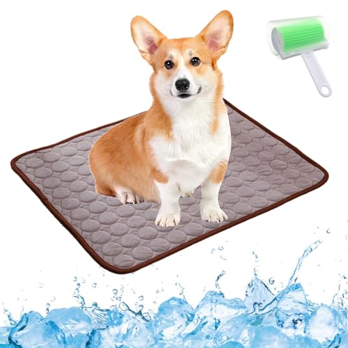 Qosigote Pfotenfrost Matte, Pfotenfrost Kühlmatte, Kühlmatte Hund, Selbstkühlende Hundematte, Waschbar Hund Matte Für Drinnen, Draußen Und Auto (Braun, M 60 * 50cm) von Qosigote