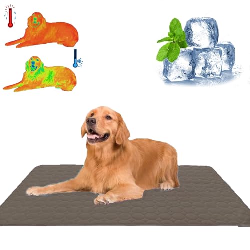 Qosigote Pfotenfrost Matte, Pfotenfrost Matte Für Katzen, Kühlbett Für Hunde Eiskühler Stoff, Schützt Deinen Hund Vor Überhitzung Für Gartenbett, Haus Und Autositz (Braun,M/60 * 50cm) von Qosigote
